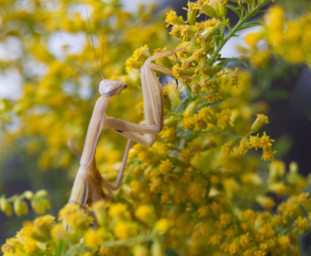 Photograph by Алексей Крукович