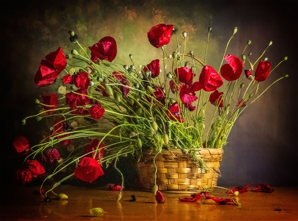 Photograph by Teodora Ivanova