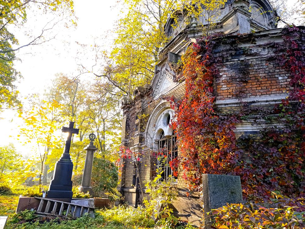 Photograph by Полина Борковская