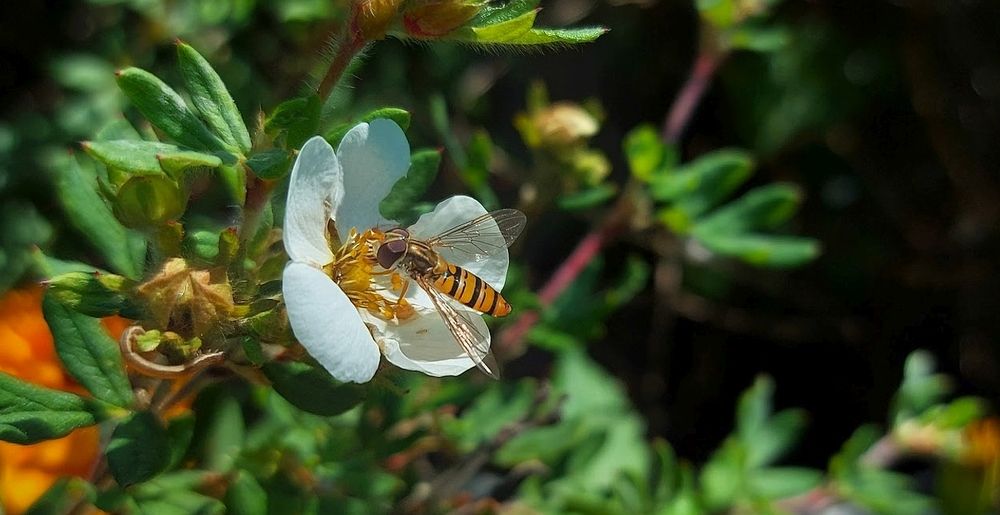 Photograph by Epp Tappel