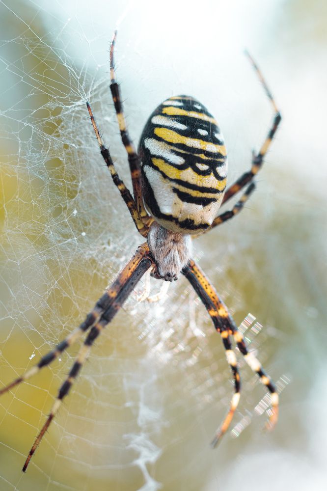 Photograph by Александра