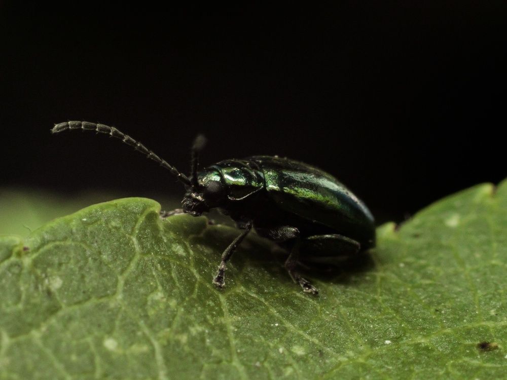 Photograph by Александра