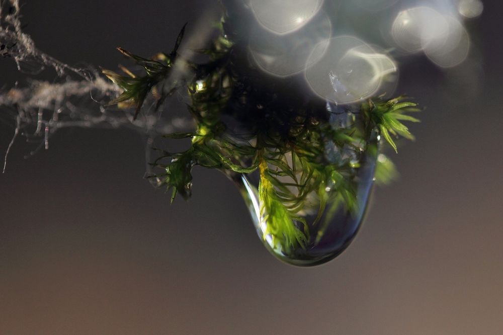 Другой мир.