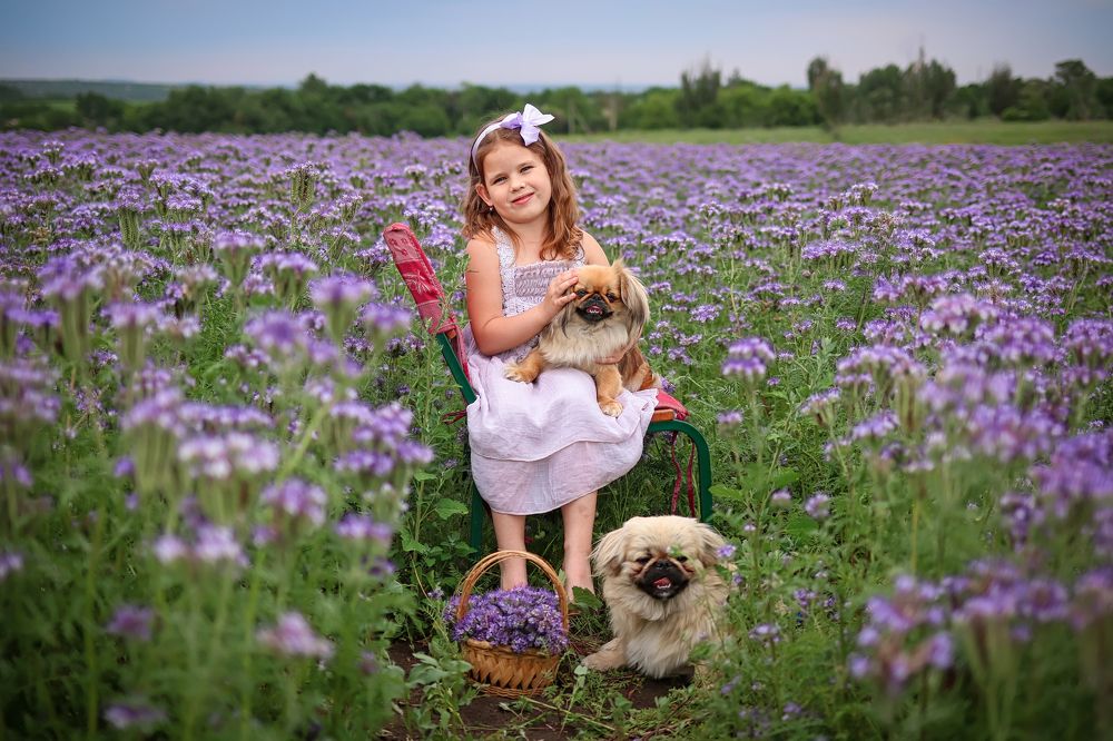 Photograph by Жанна Соснина