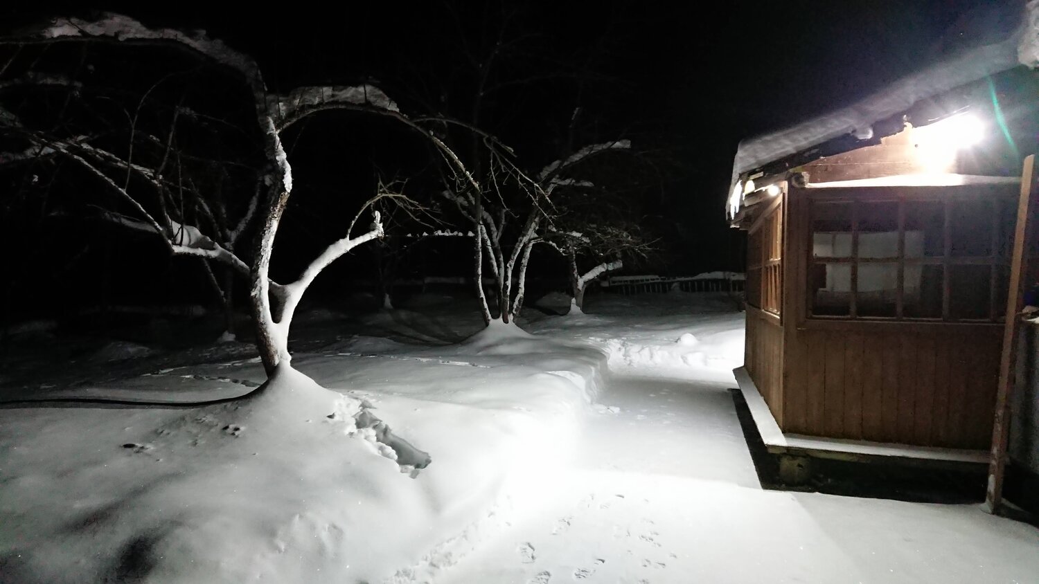 Photo #6423066