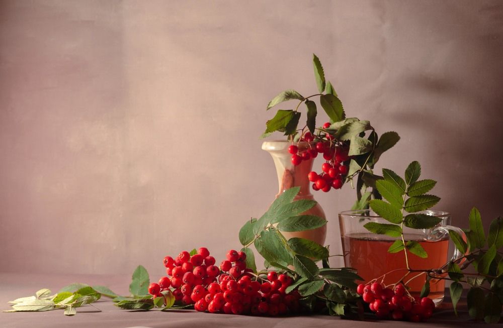 Фотография автора Aлексей Игнатьев