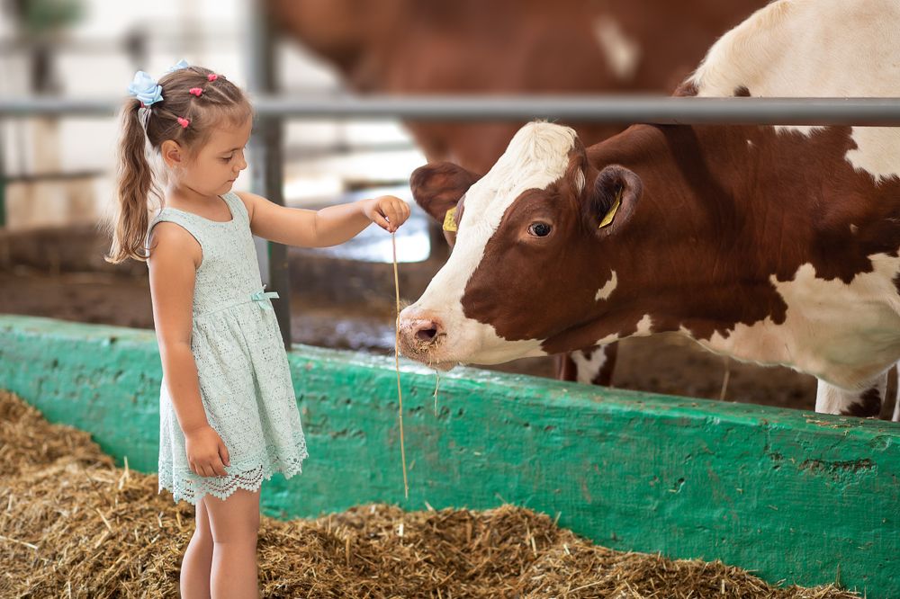 Photograph by Евгений Низаев