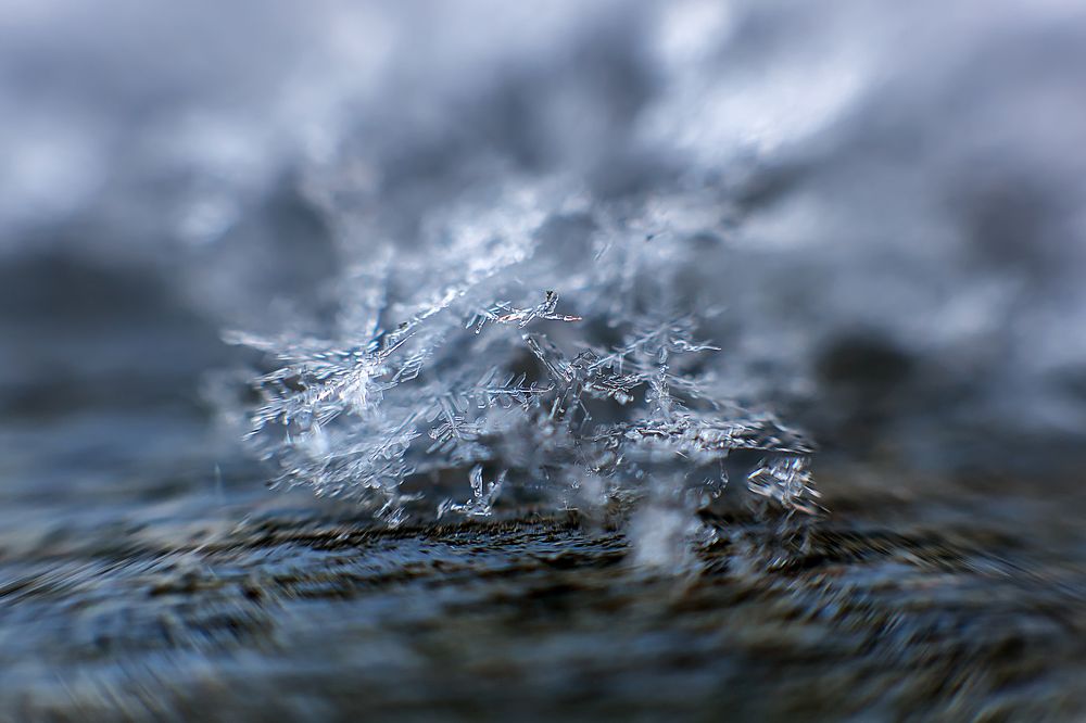 Photograph by Виталий Павлов