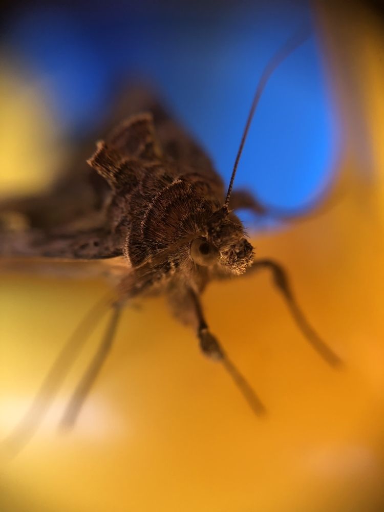 Photograph by Ольга Гаврилова