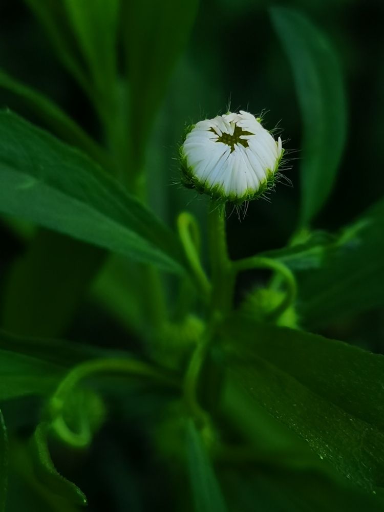 Photograph by Вероника Цагельник