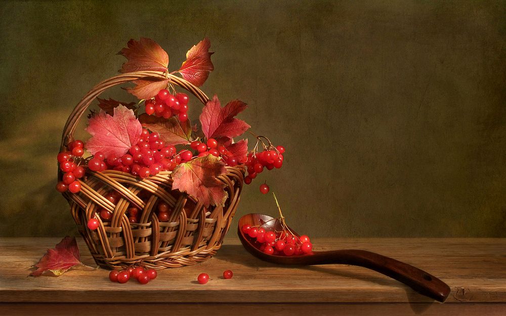 Ягода - калина