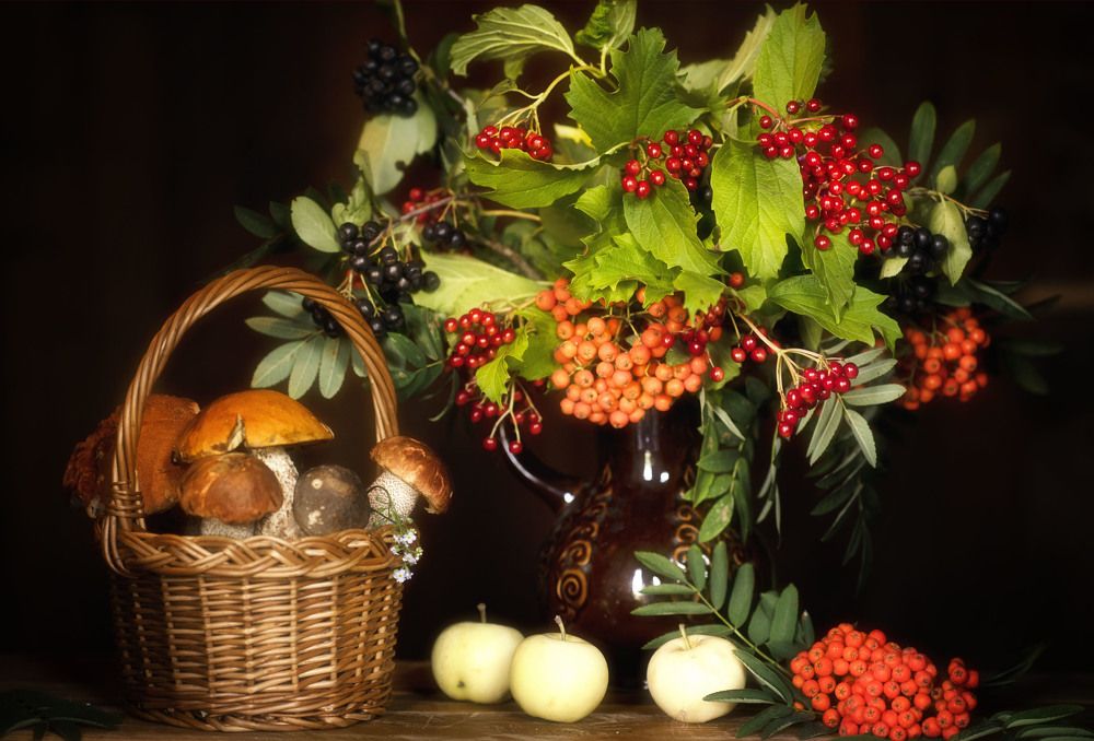 Осенние дары