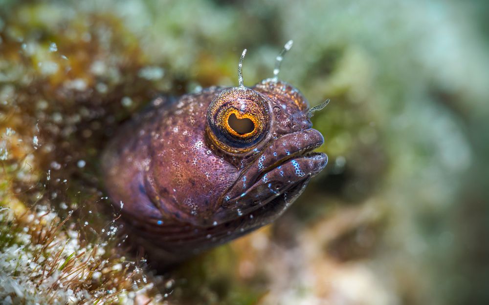 Photograph by Андрей Савин