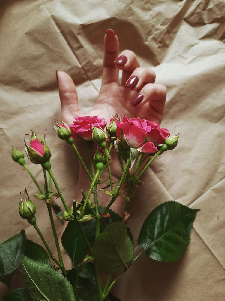 Photograph by Iryna Fedorova