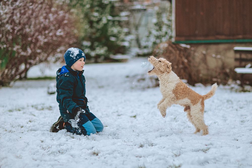 Photograph by Svetana Mertikova (Blinova)