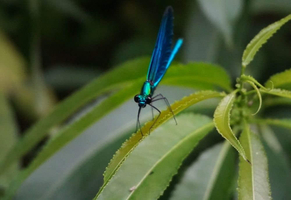 Photograph by Olgafotoos