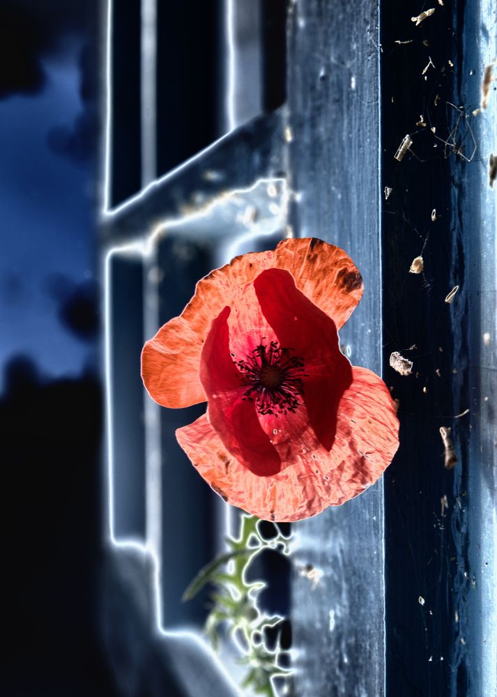 Unusual in the ordinary