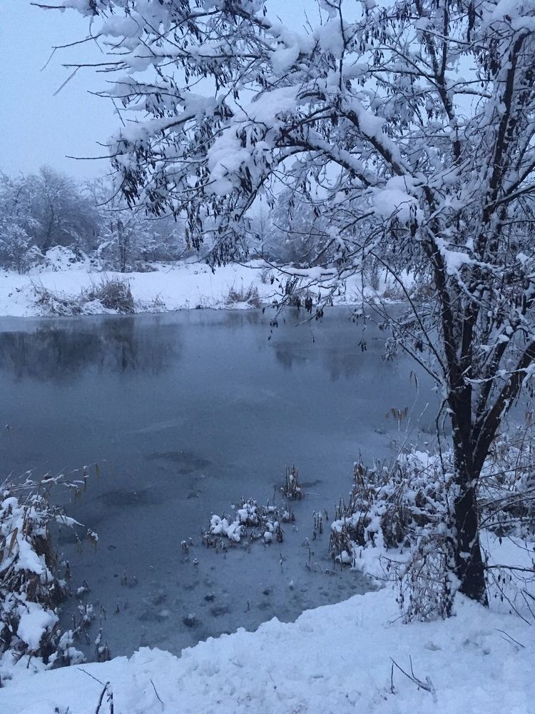 Снежное царство