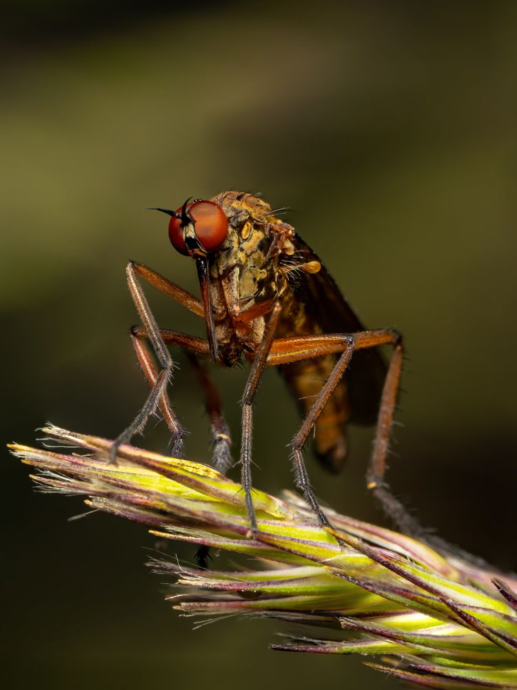 Photograph by Денис Дроздов