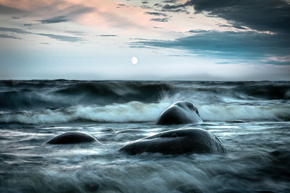 Фотография автора Дмитрий Дроздов