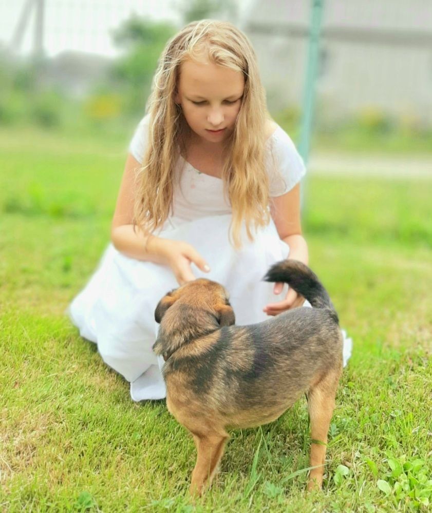 Photograph by Татьяна Чершнева