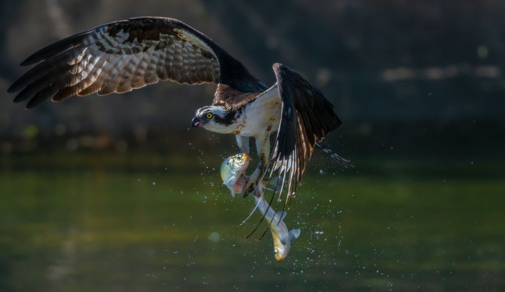 Photograph by George