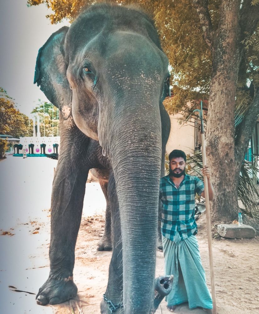Photograph by Dineth Gamage