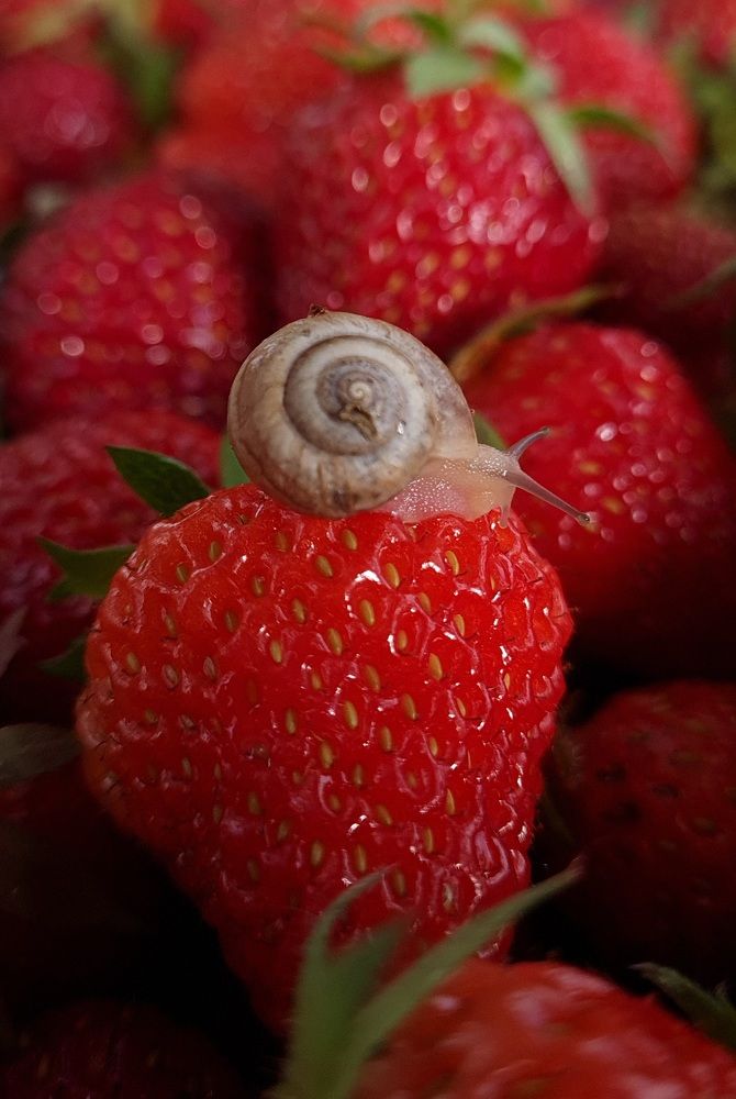 Photograph by Sergey Sadov