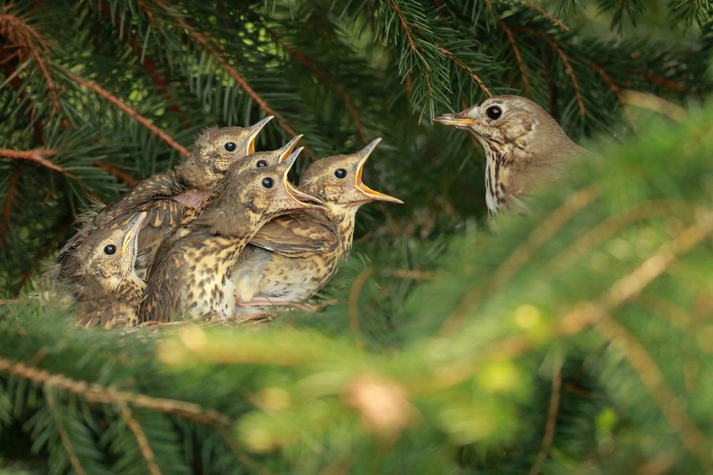 Photograph by Piotr Warzecha