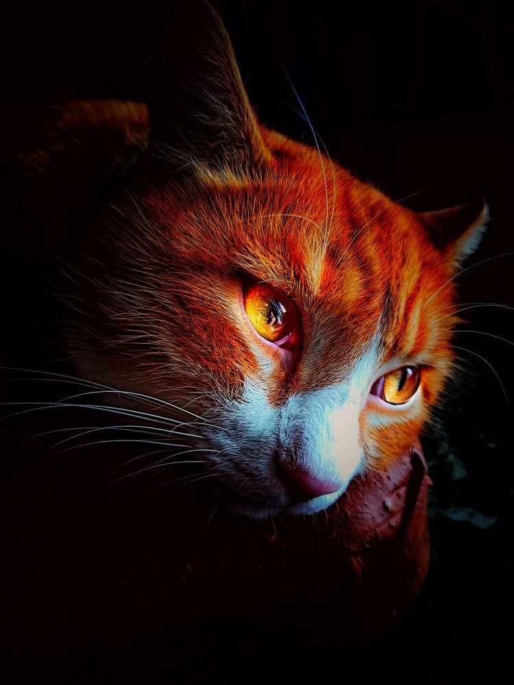 Photograph by Василий