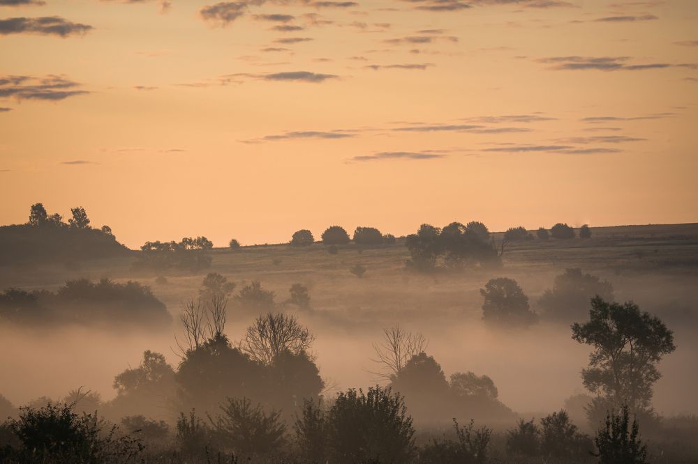 Photograph by Pavel Gusev