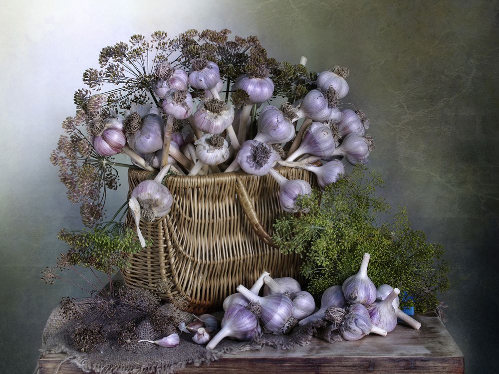 Photograph by Вера  Павлухина