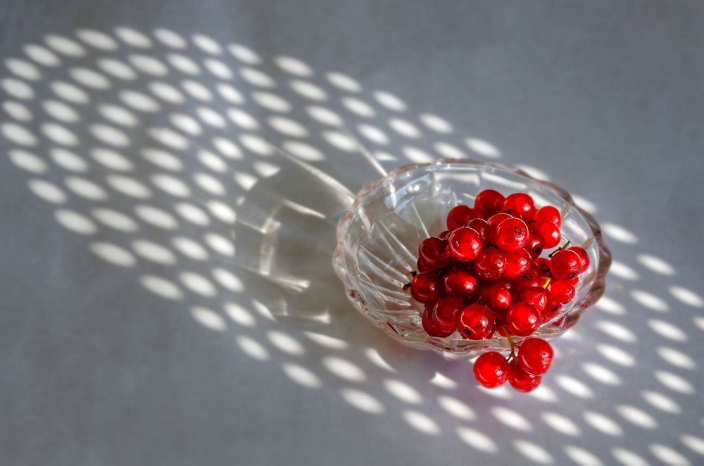 Photograph by Ольга Усова