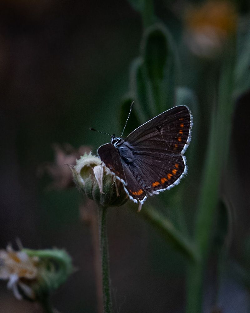 Photograph by Евгений Михеев