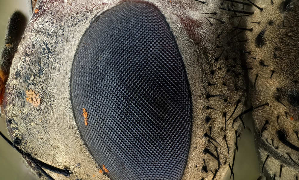 Photograph by Александр Трипольский