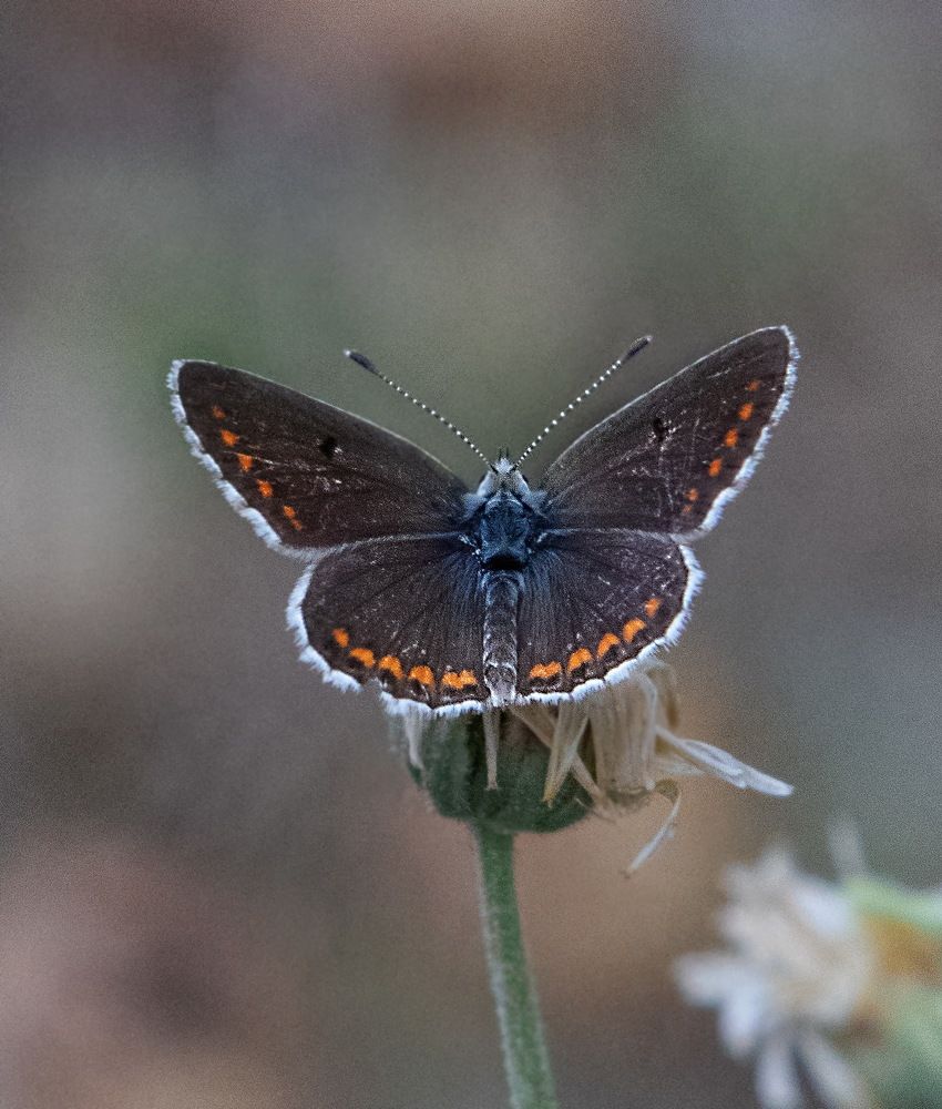 Photograph by Евгений Михеев