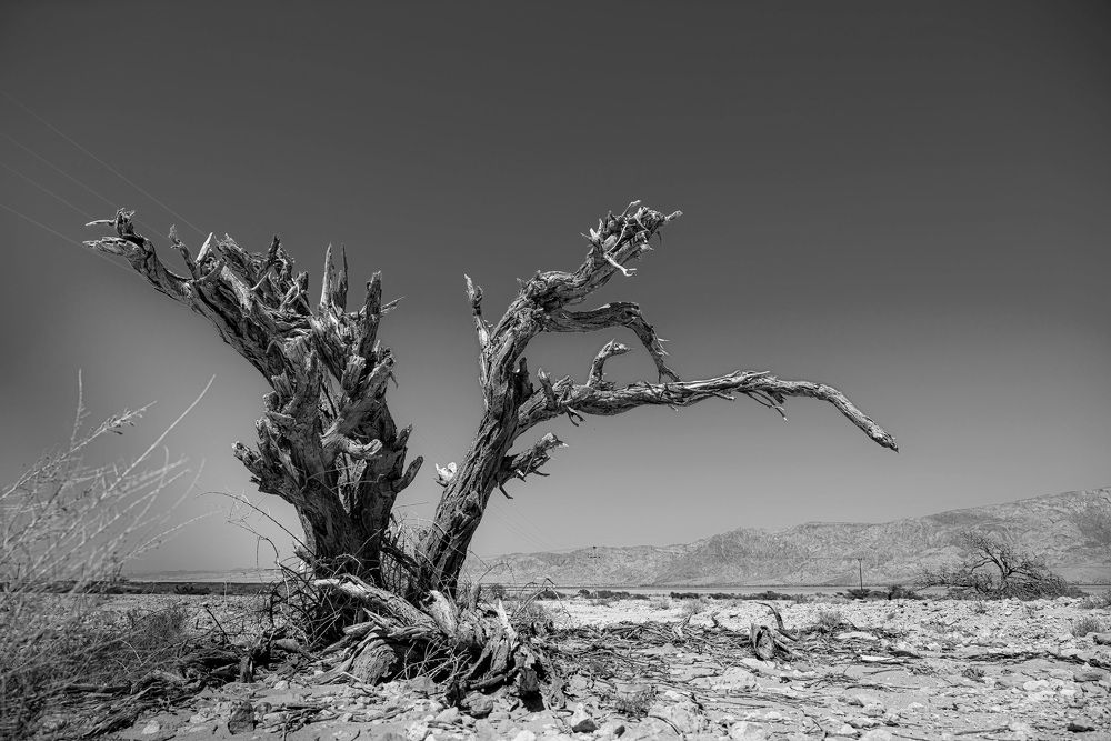 Photograph by Artur Tsvaygenbaum