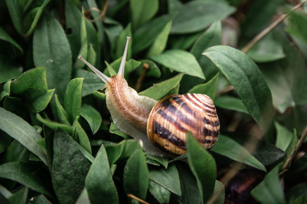 Photograph by Елена