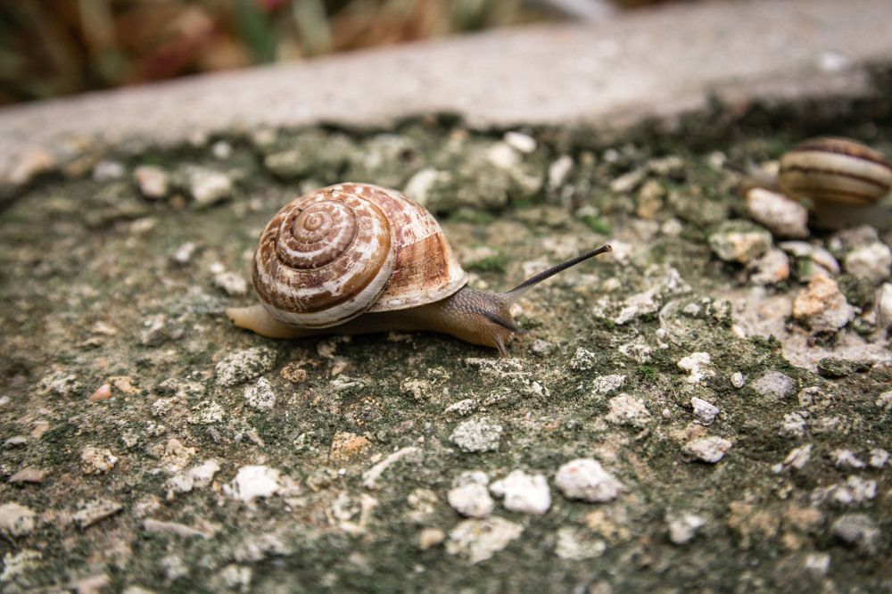 Photograph by Елена