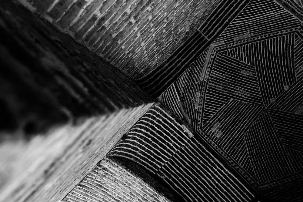 Photograph by Majid Rezaeeanpoor