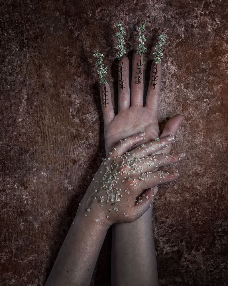 Photograph by Леонид Снег