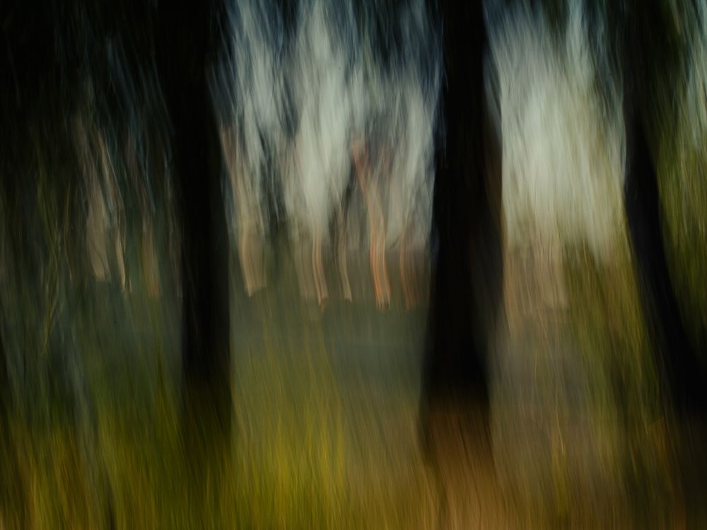 Photograph by Михаил Штенберг