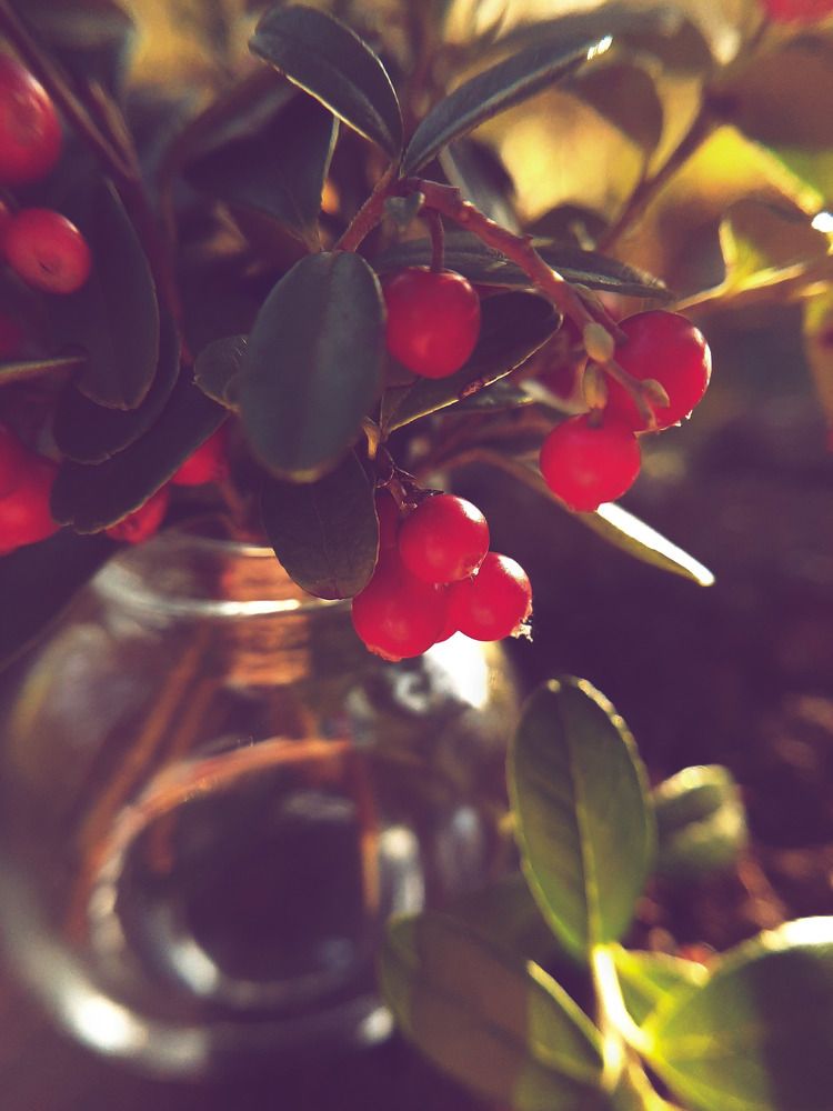 Photograph by Ирина Иванова