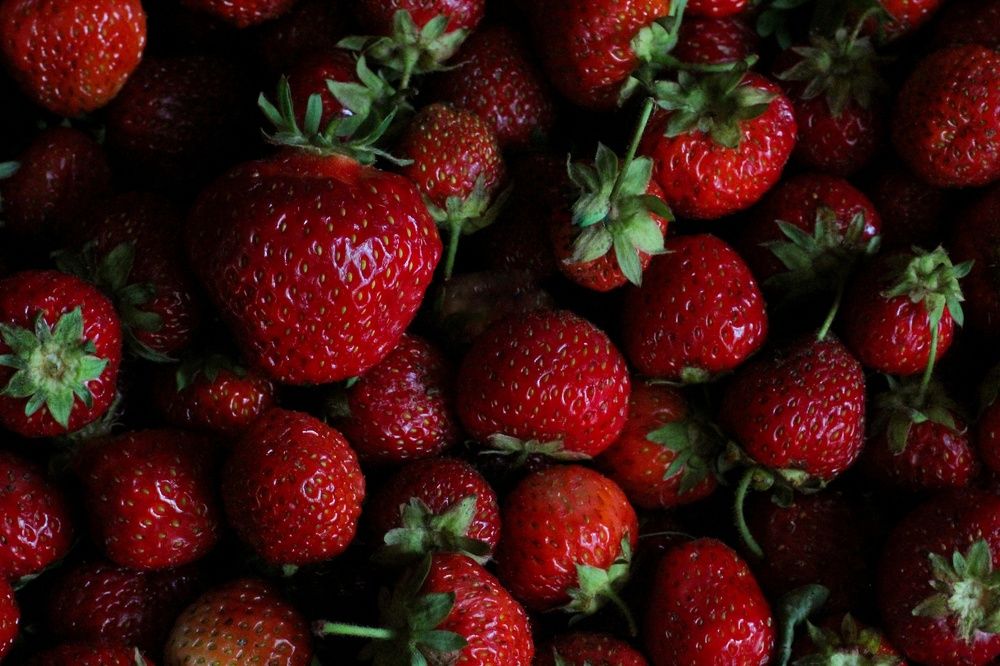 Photograph by Ирина Иванова