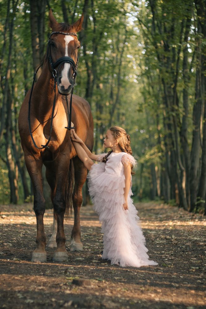 Фотография автора Яна Прошунина