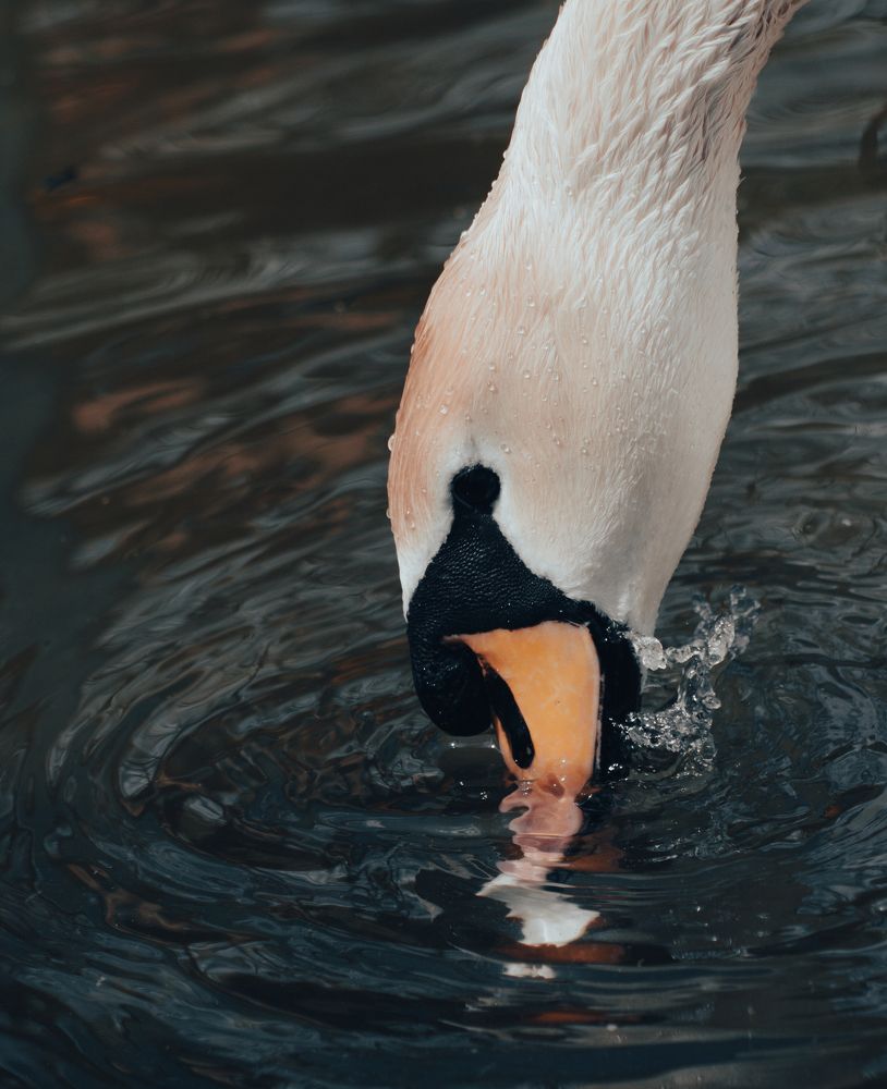 Photograph by Андрей Старинин