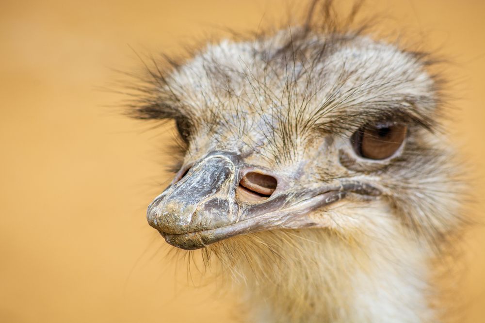 Photograph by Андрей Старинин