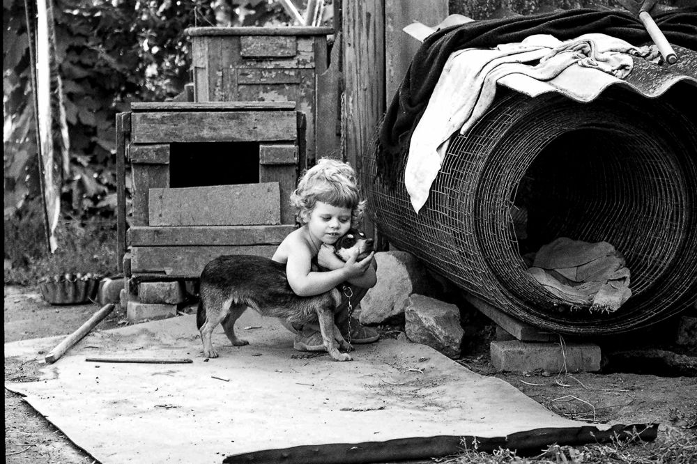 Photograph by Виктор Холодов