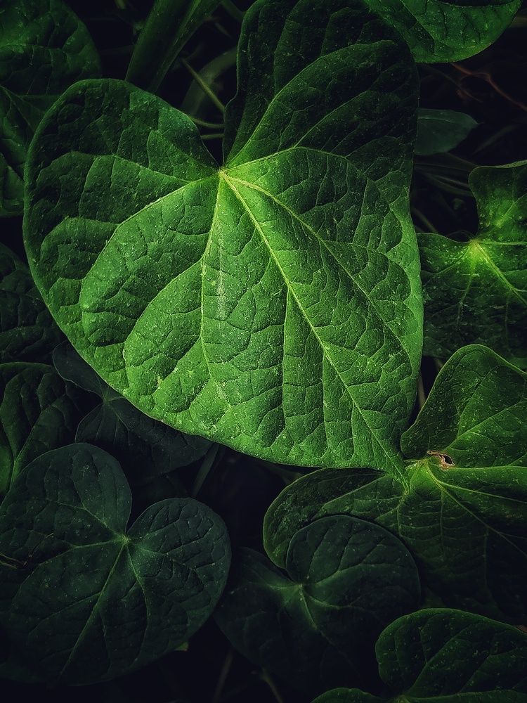 Фотография автора Ольга Игуменова