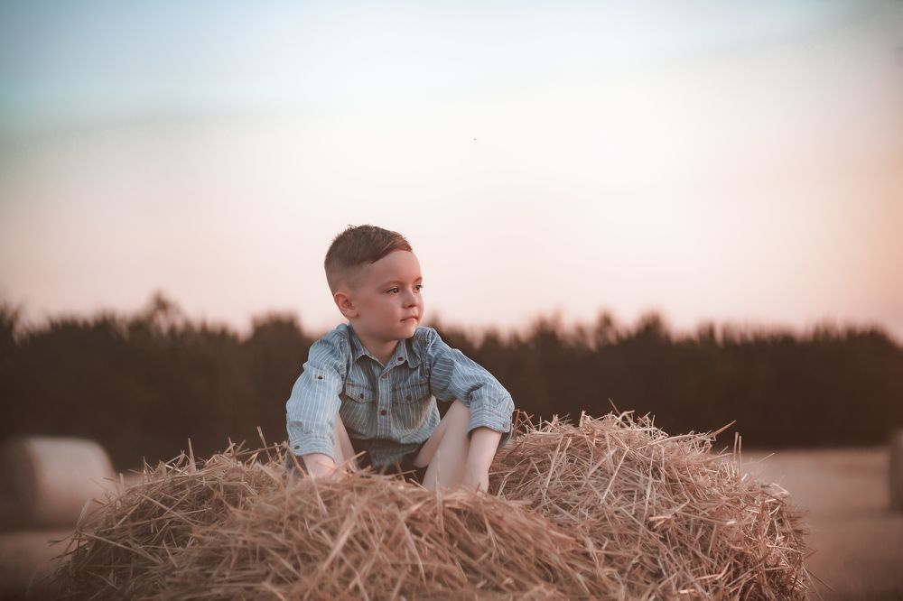 Фотография автора Олег Старосельцев
